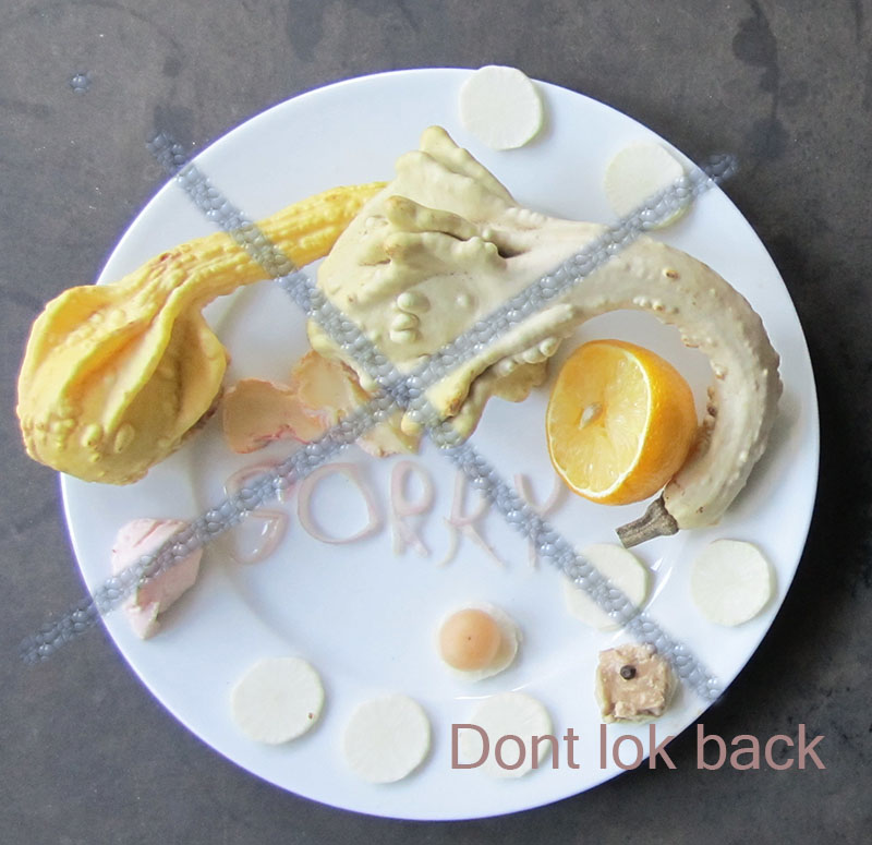 Text 'don't lok back' über durchgestrichenem Foto einer Essplatte mit Zierkürbissen und einem 'Sorry', aus Zwiebeln geformt